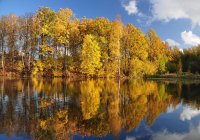 &quot;Rudens alsavimas&quot; Eugenija Šeinauskienė